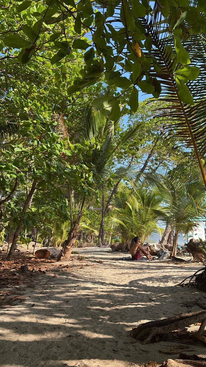 Sendero hacia la playa